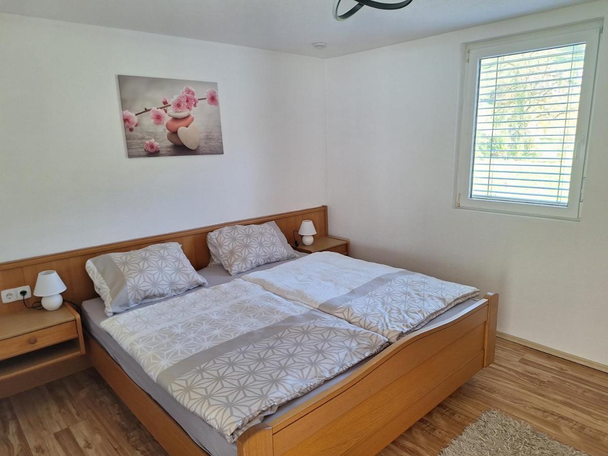 Batschuns Apartment Rheintal Im Alpenvorland מראה חיצוני תמונה